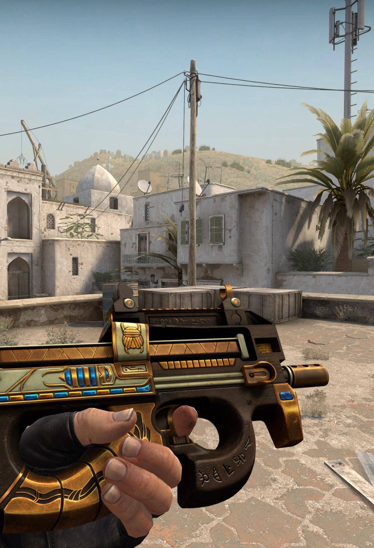 域性大型体 域性大型体