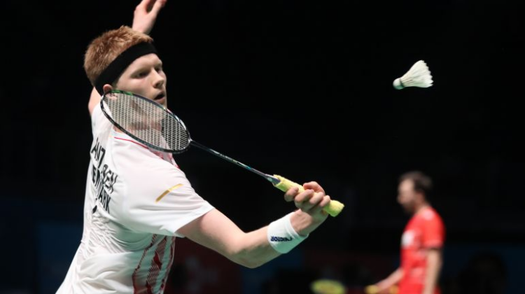 在全球排球 在全球排球