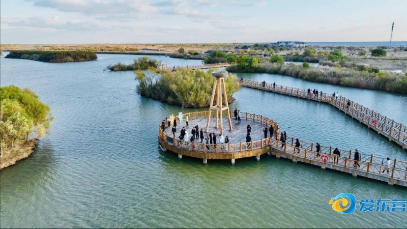 识强著称 识强著称