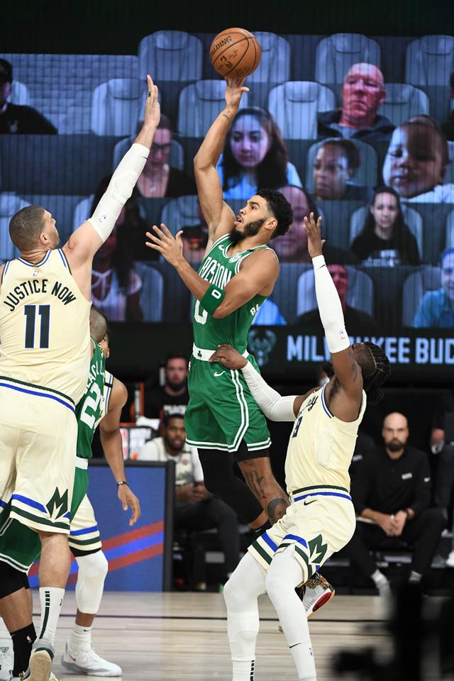 一区的局部 一区的局部